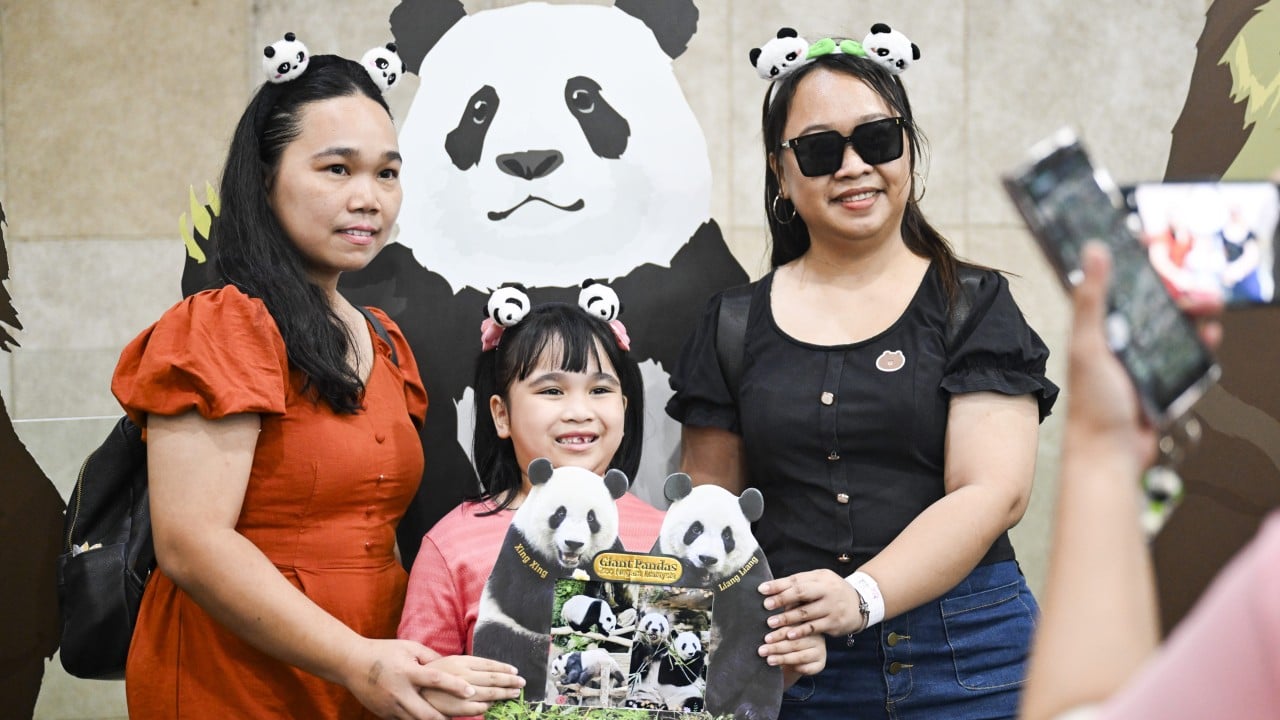 Chinese pandas over local wildlife? Malaysians debate cost of hosting a new pair