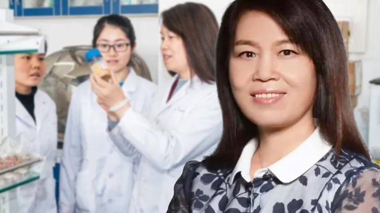 Who is Fan Daidi? New vice-president of top China university has net worth of US$6 billion