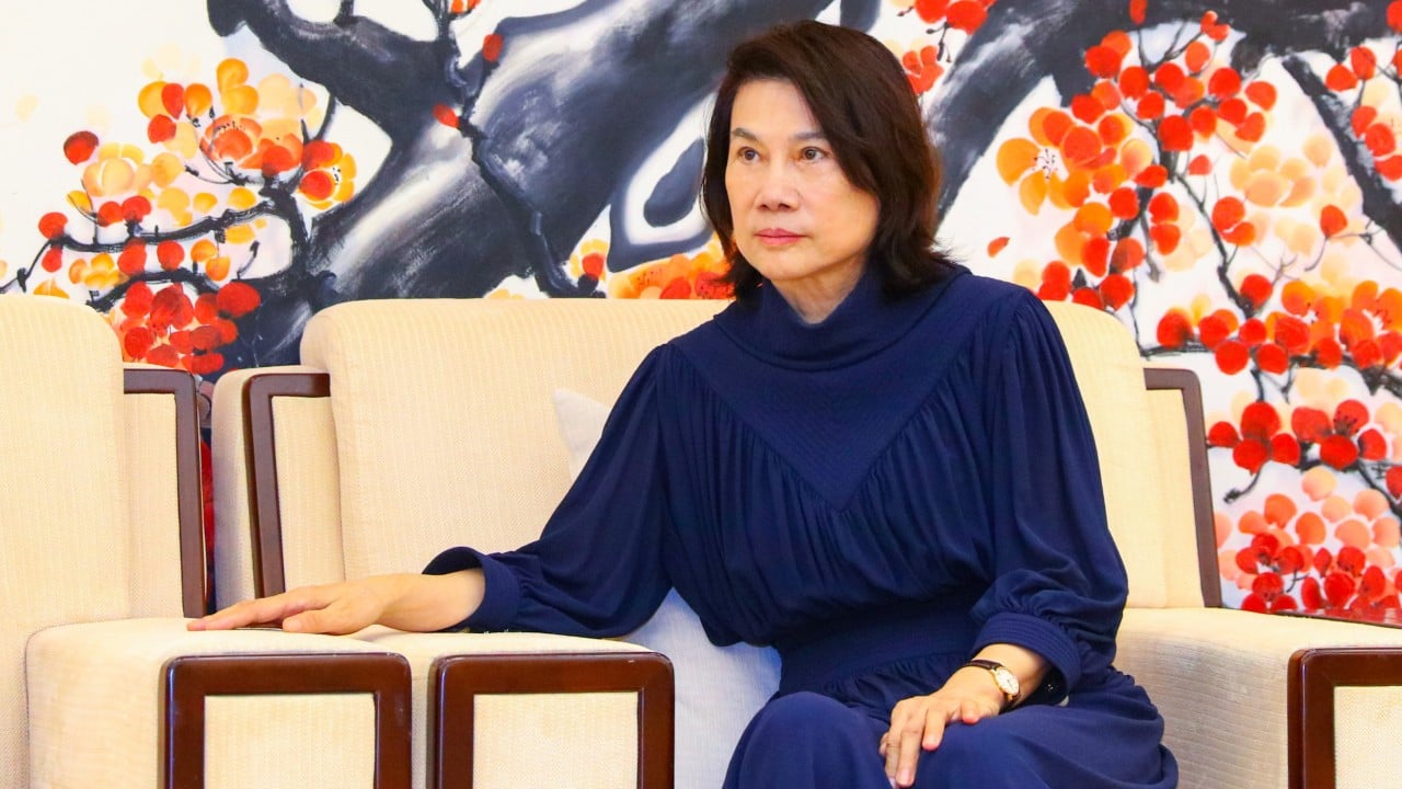 Chinese entrepreneurs educated overseas hit back at ‘appliance queen’ over spy allegations