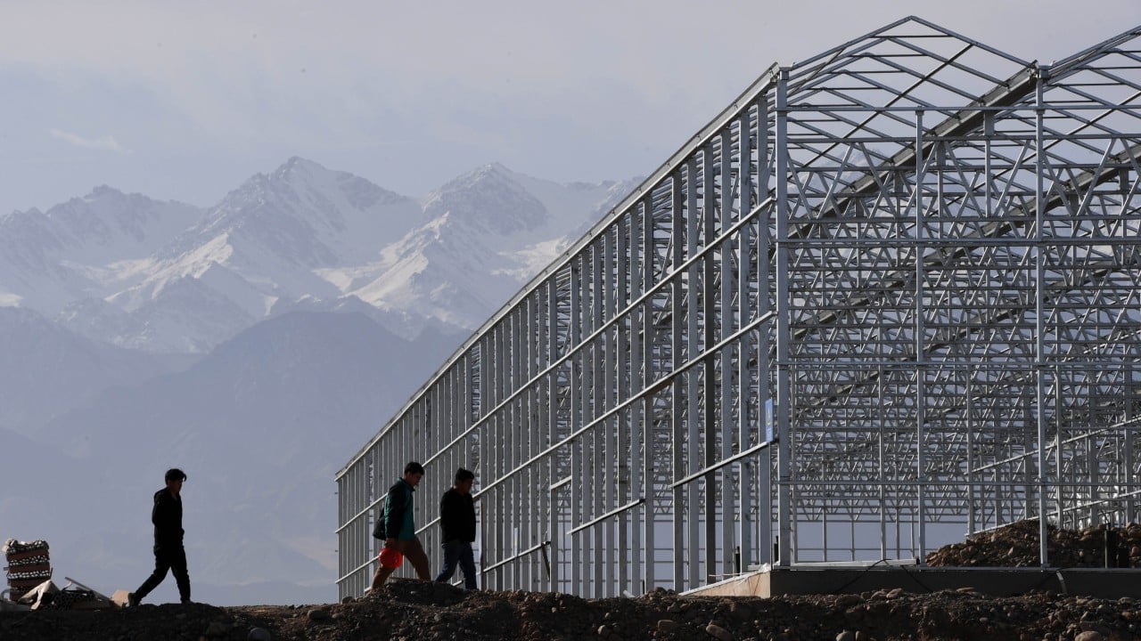 China’s ‘vegetable capital’ to test farming know-how in UAE’s harsh deserts