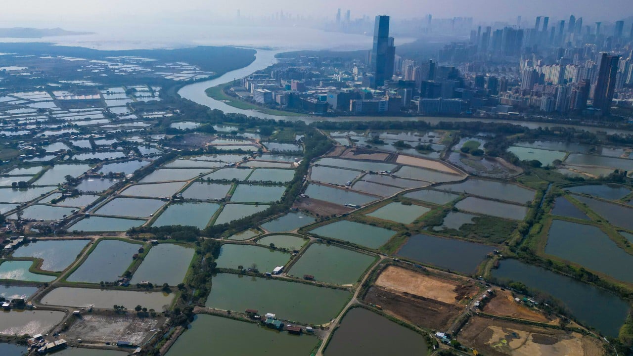 Hong Kong developers urged to link up with mainland firms on border project