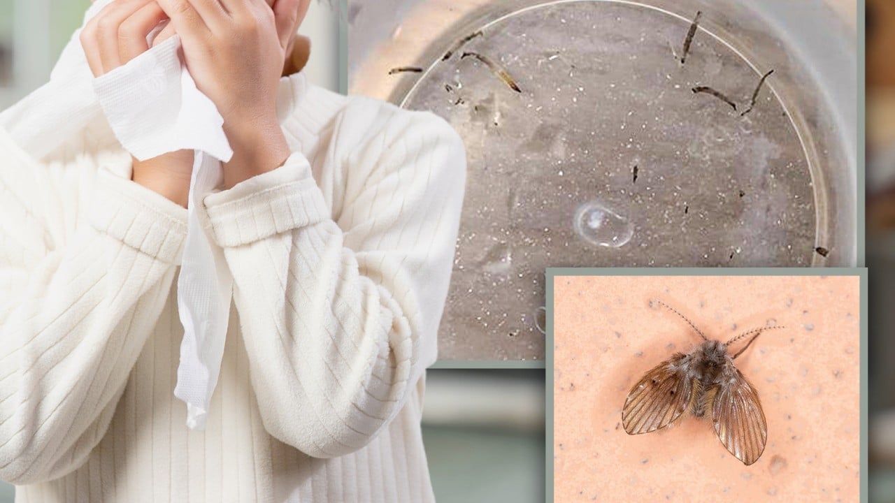 Chinese girl vomits live worms for a month; doctors find tiny moths to blame