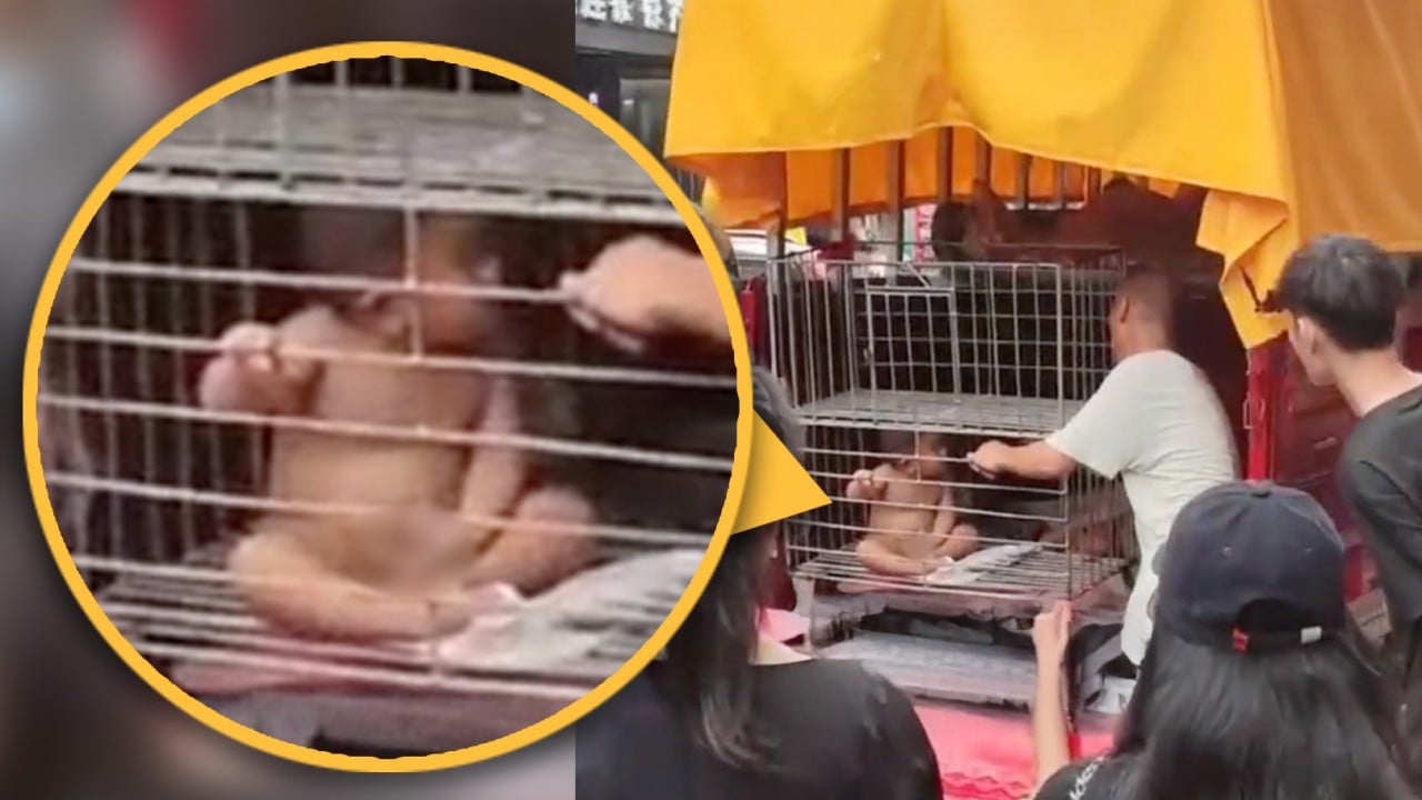 China dad berated for locking naked son in iron cage, claims pen prevents wandering