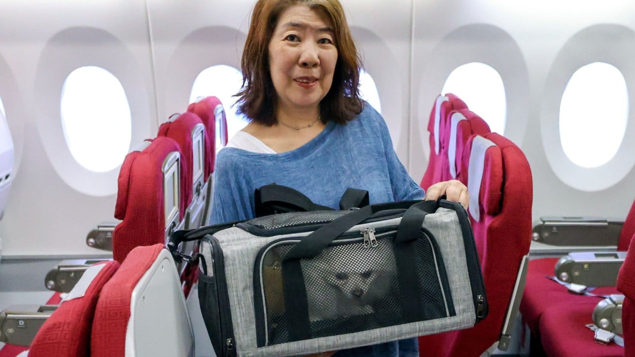 Hong Kong Airlines to expand pet-in-cabin and family-friendly services