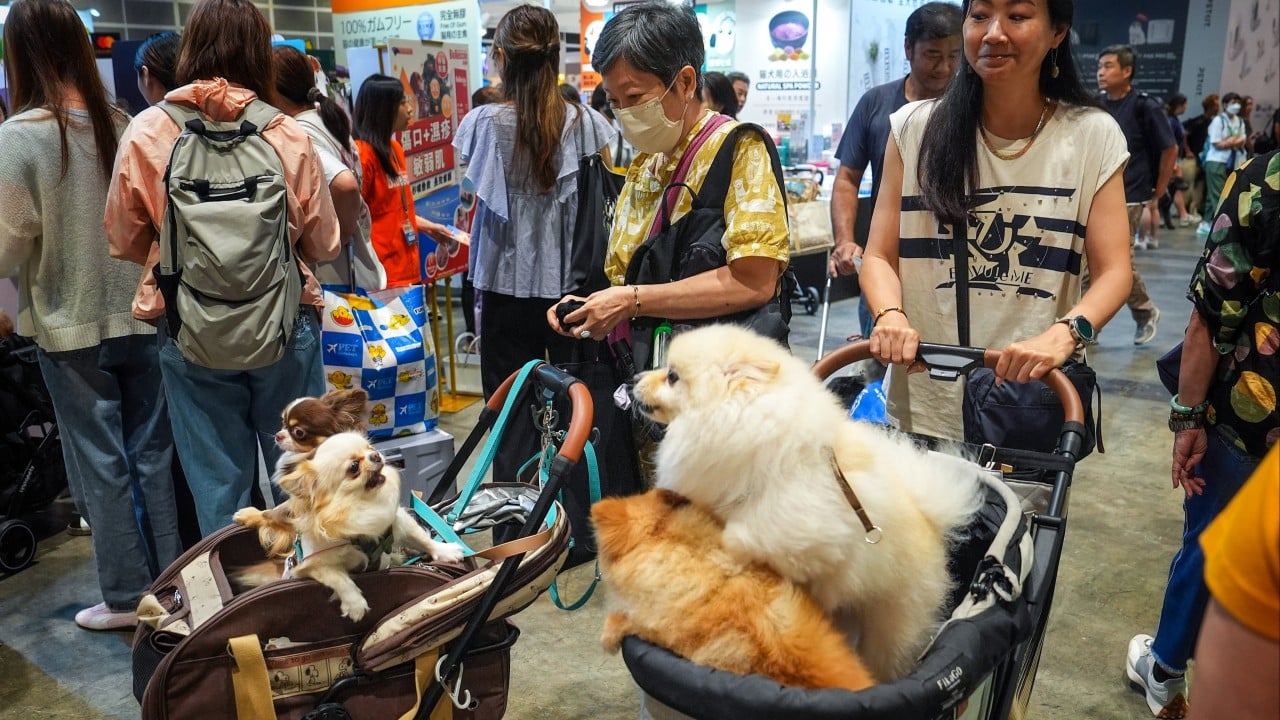 Hong Kong environment chief rejects relaxed quarantine rules for imported pets