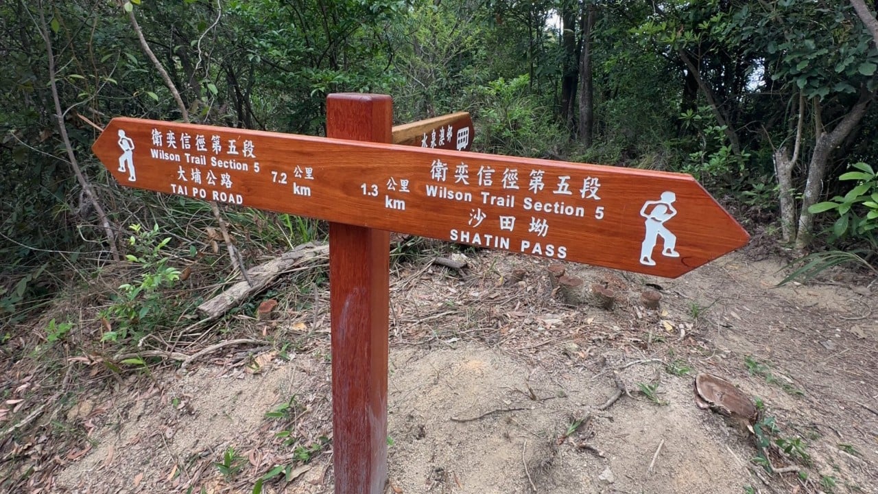 Hong Kong hiker, 69, dies after collapsing on Wilson Trail