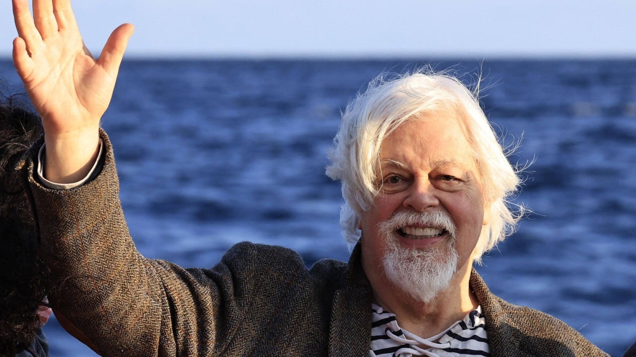 Whale of a row in Japan as Interpol drops activist’s red notice