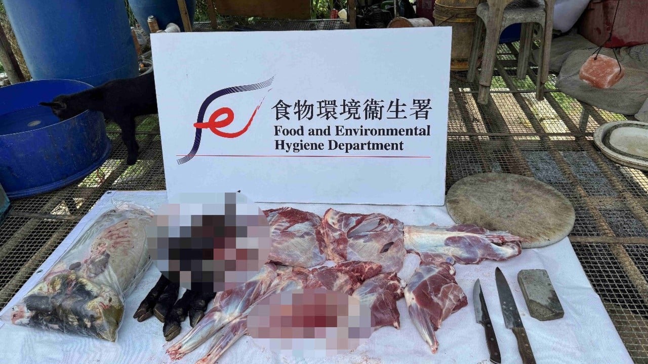 150 live goats found, Hong Kong resident arrested in illegal slaughterhouse bust