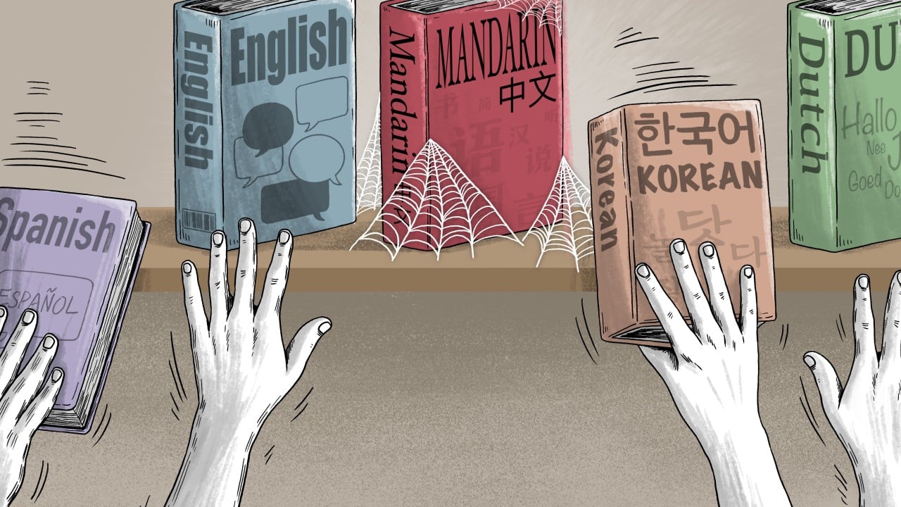 ‘Huge shift’: why learning Mandarin is losing its appeal in the West