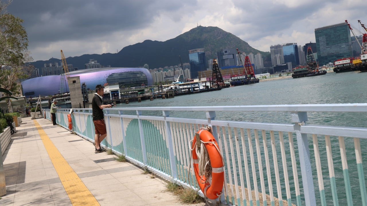 Hong Kong police arrest man on suspicion of pushing boy, 9, into sea