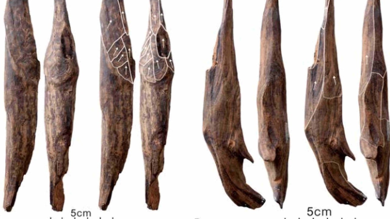 Tools unearthed in China are first evidence of East Asia’s ‘Wood Age’