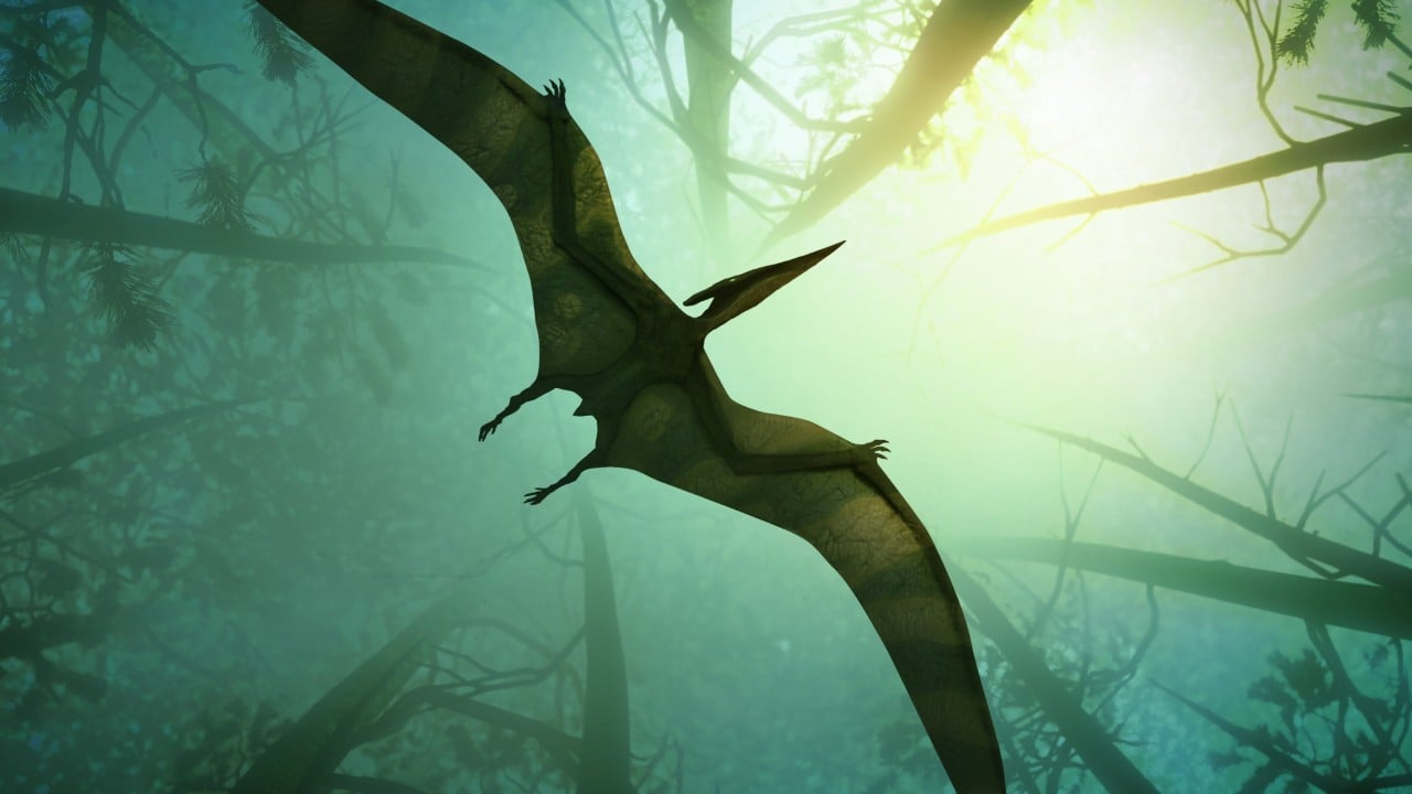 Chinese pterosaur’s last meal feeds dino-sized diet debate