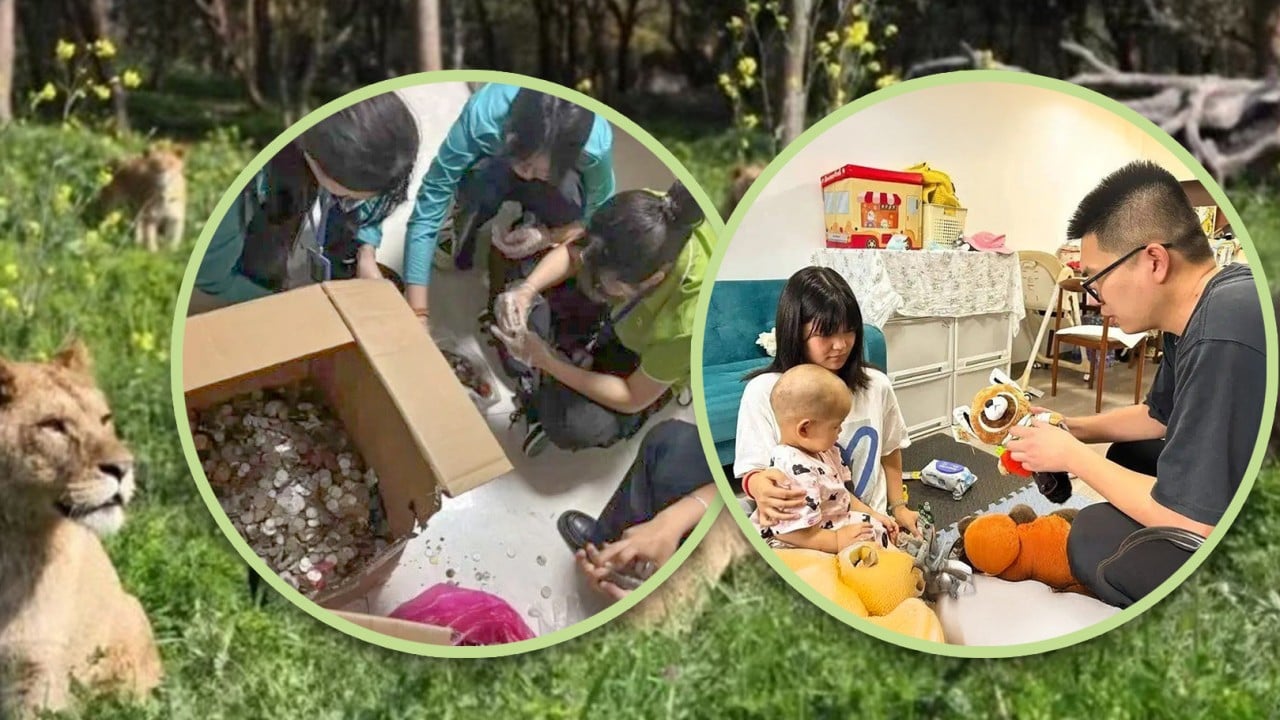 China zoo refunds annual pass for girl with cancer, donates US$1,700 from wishing well