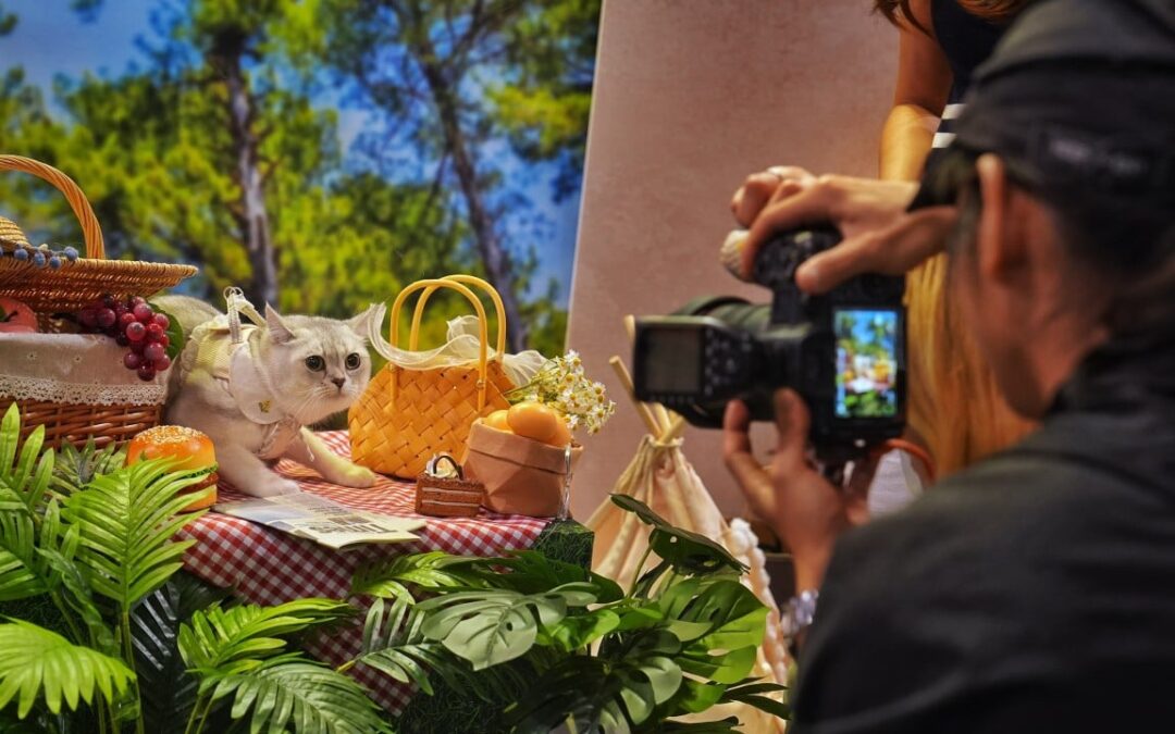 Purr-fect day for Hong Kong pet owners as cat expo opens