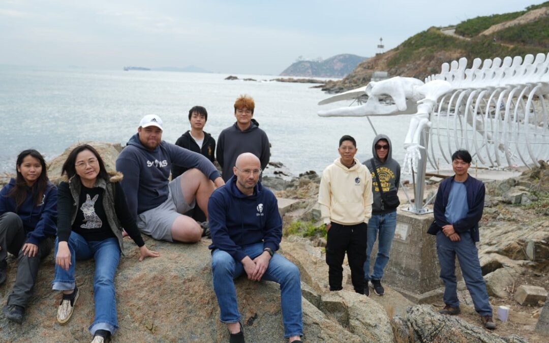 Hong Kong’s whale of a tale: famous fossil at Shek O gets new lease of life