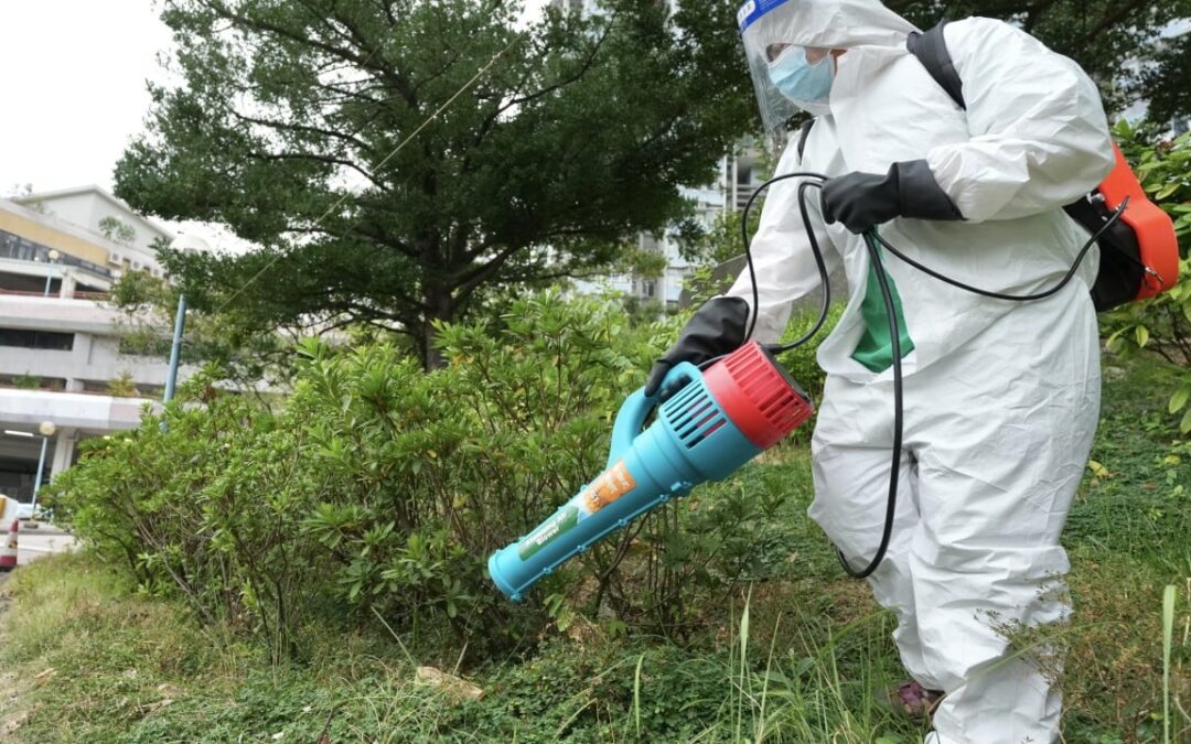 Hong Kong’s fourth local chikungunya case unrelated to past 3: health officials