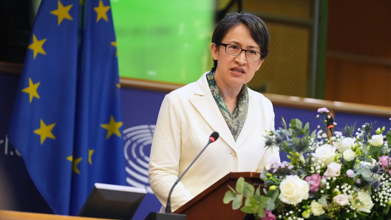 Taiwan’s No 2 leader makes shock speech at European Parliament