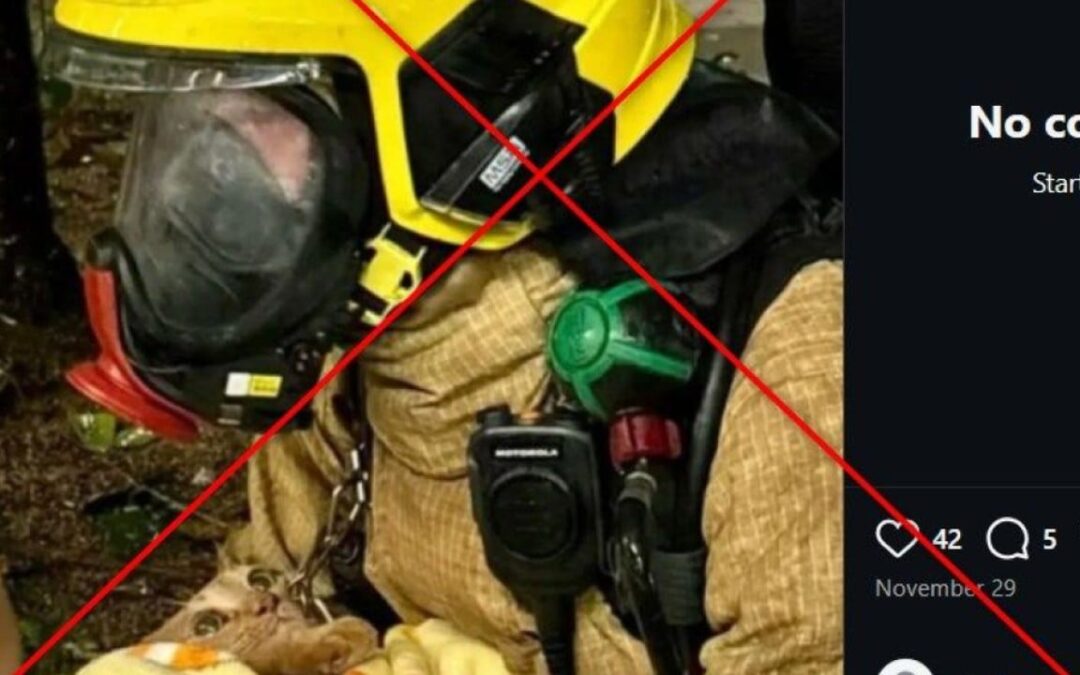 This photo of firefighter rescuing cat is not from Hong Kong’s Tai Po blaze