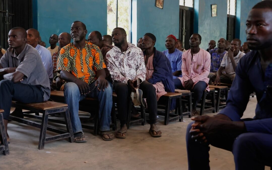 Release of 100 kidnapped Nigerian schoolchildren secured by government, UN reports