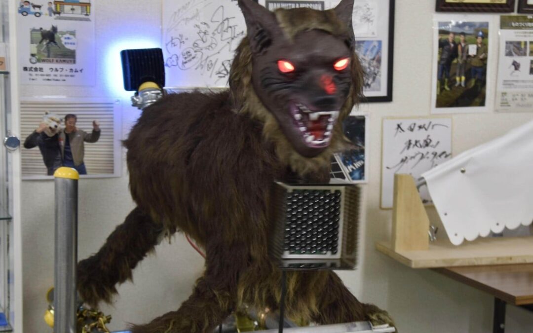 In Japan, rise in bear attacks spurs demand for robot wolf, AI cameras