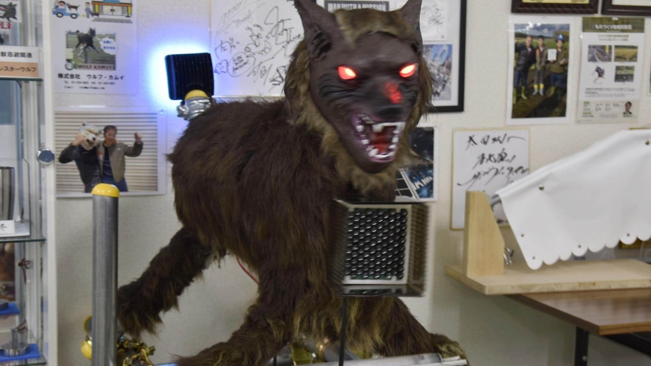 In Japan, rise in bear attacks spurs demand for robot wolf, AI cameras