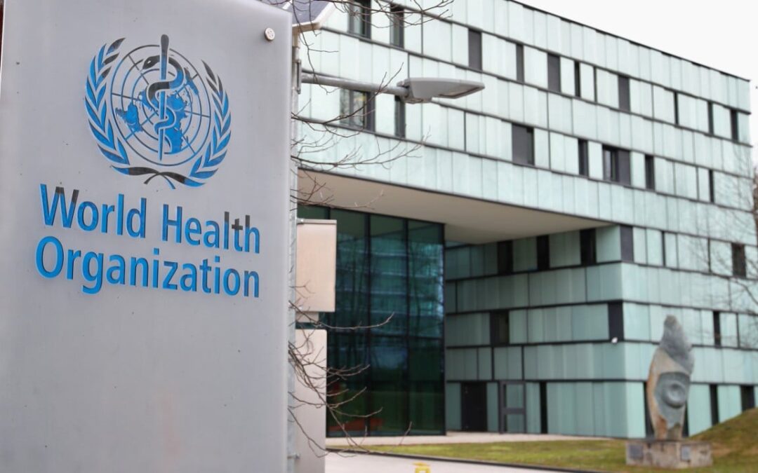 63 children among 114 dead in strikes on Sudan kindergarten, hospital: WHO