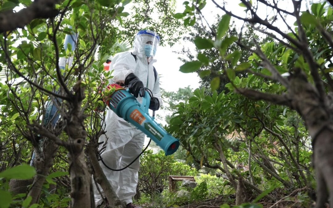 Hong Kong confirms 10th locally acquired case of chikungunya fever