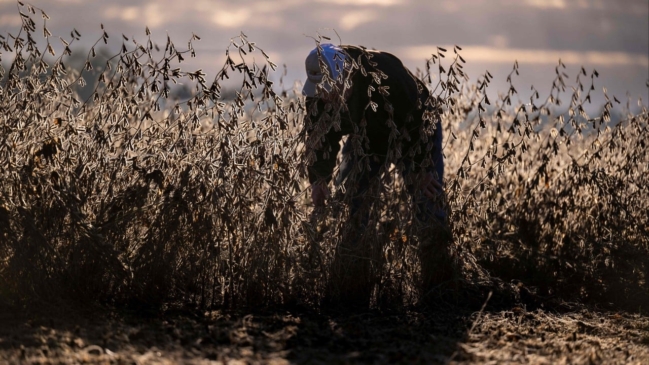 ‘A slap in the face’: some US farmers unhappy with Trump’s $12 billion bailout