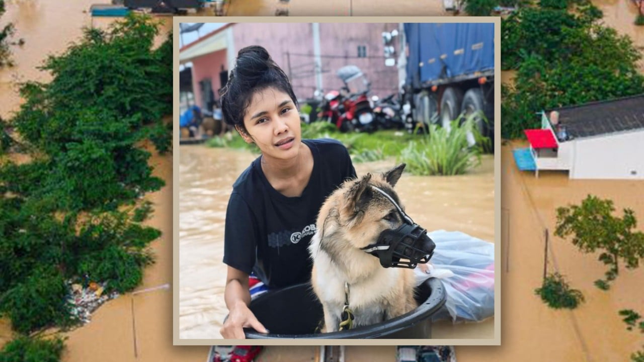 Thai woman stays on rooftop with pets during floods, refusing rescue without them
