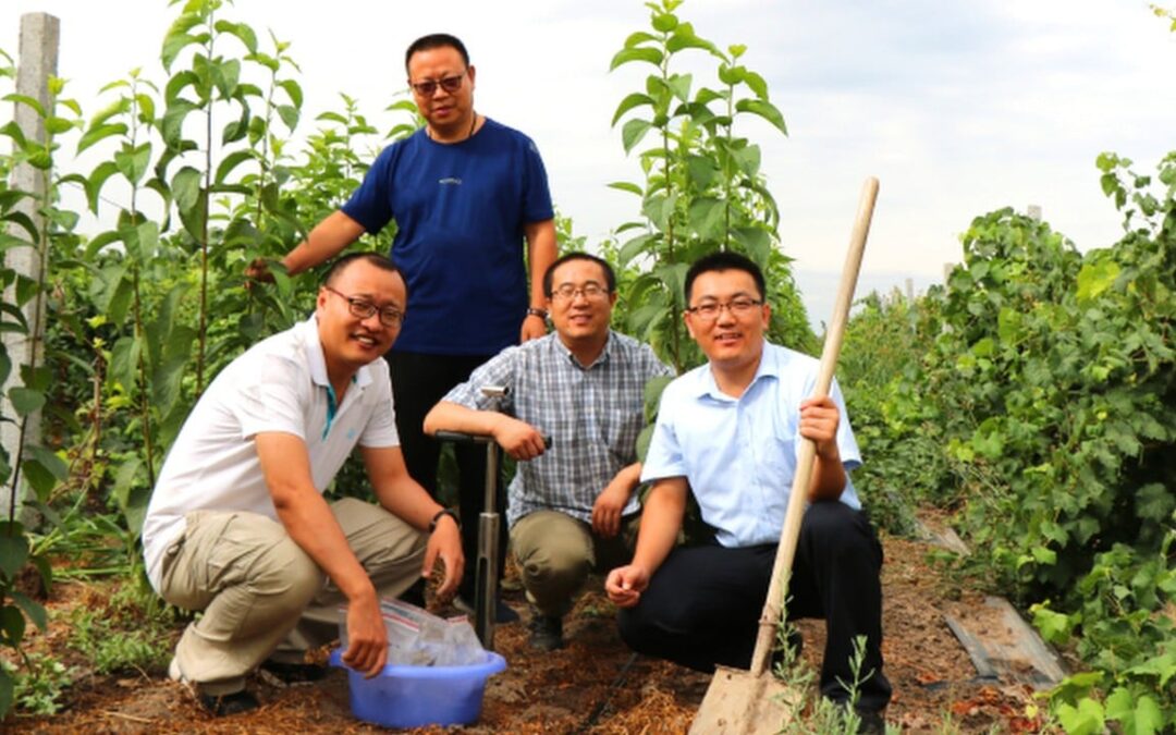 It is ‘flourishing’: China’s man-made forest in Gobi produces good rubber for military use