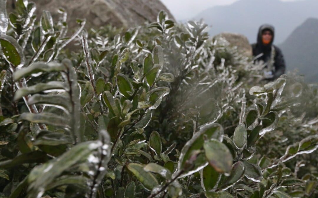 In 2016, Hong Kong shivered through coldest day in 6 decades – SCMP archive