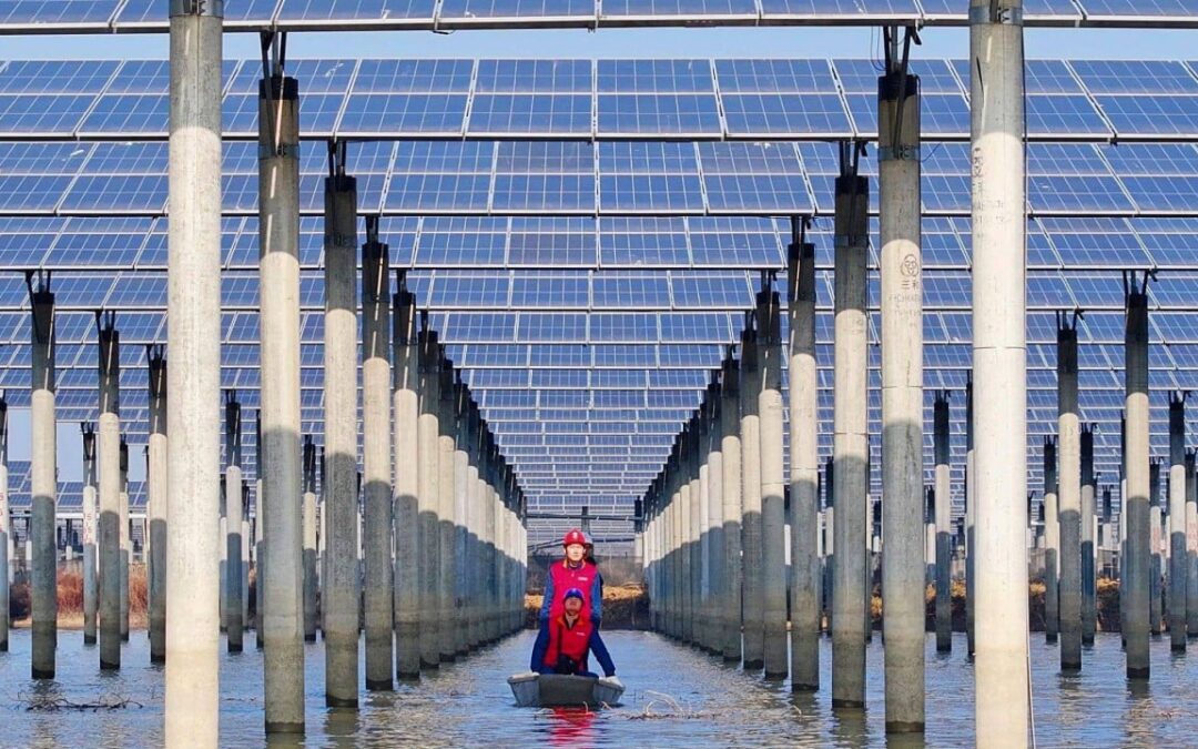 China’s clean power energising economy, adding a Brazil’s worth of GDP: report