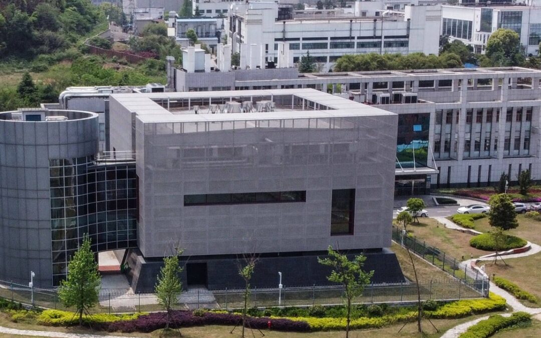 UCLA virologist Xia Xian joins Wuhan lab studying highly pathogenic virus