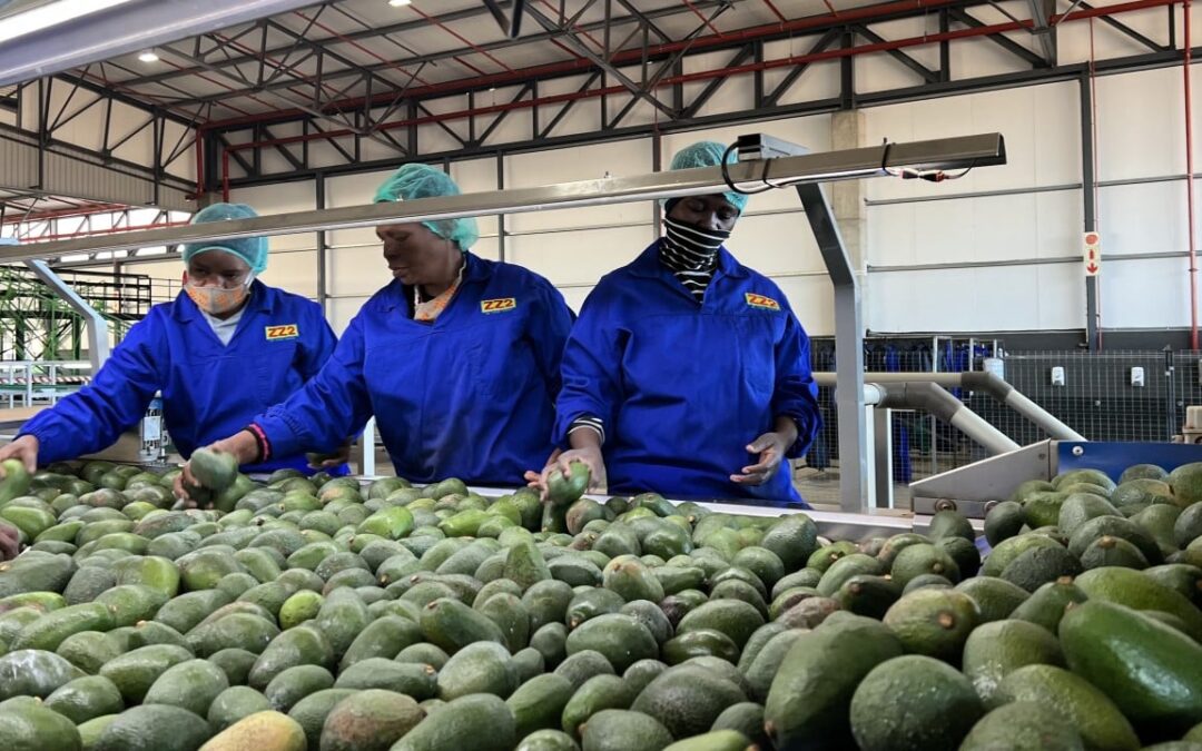 China says it won’t seek reciprocity with South Africa on zero-tariff policy