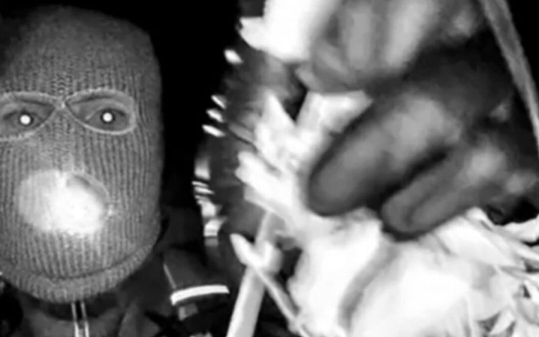 Nancy Guthrie disappearance: FBI releases images of masked person