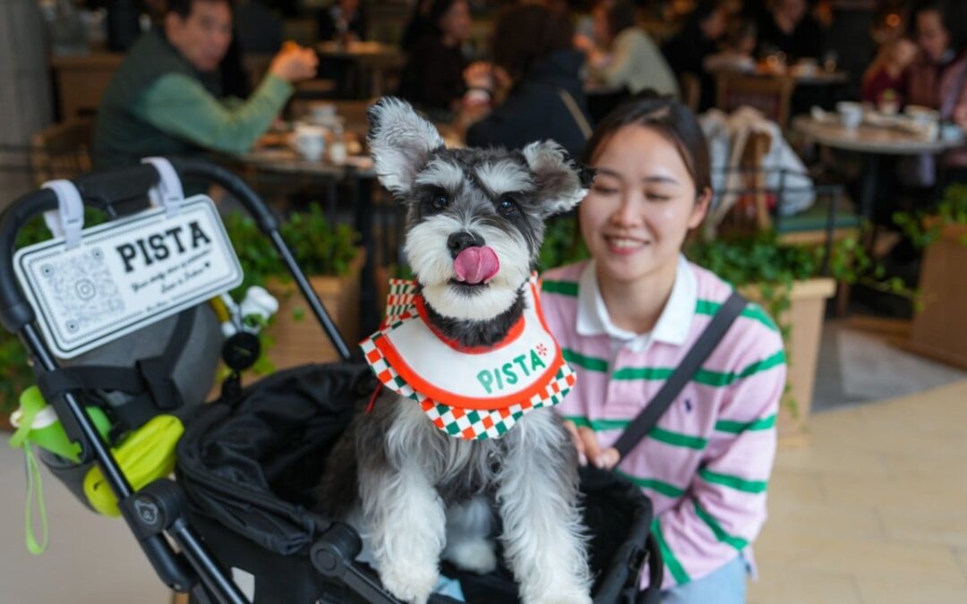 Government’s proposal for dogs in eateries a ‘step forward’ for Hong Kong: lawmakers
