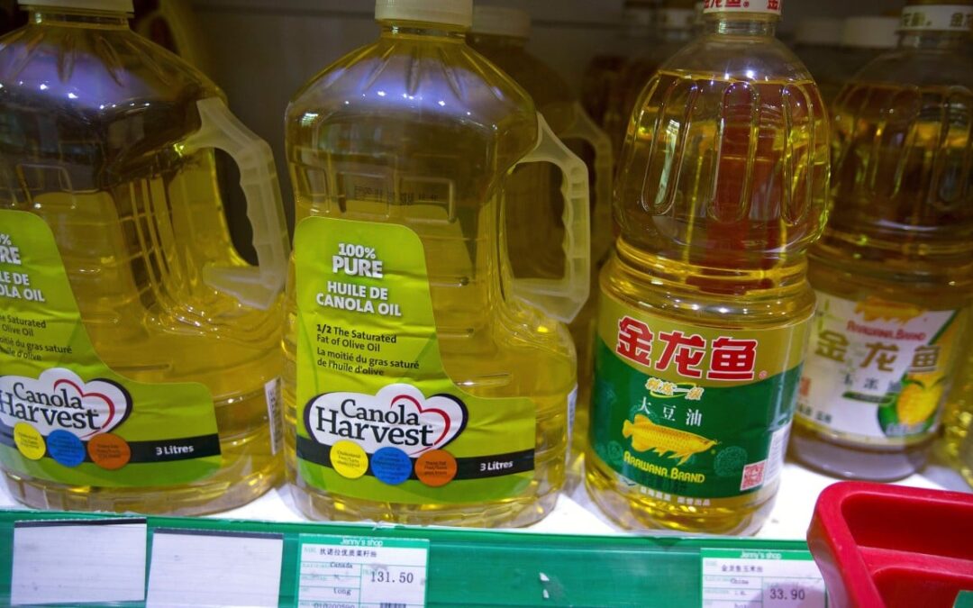 China-Canada canola deal faces fragility test as USMCA trade talks loom, insiders warn