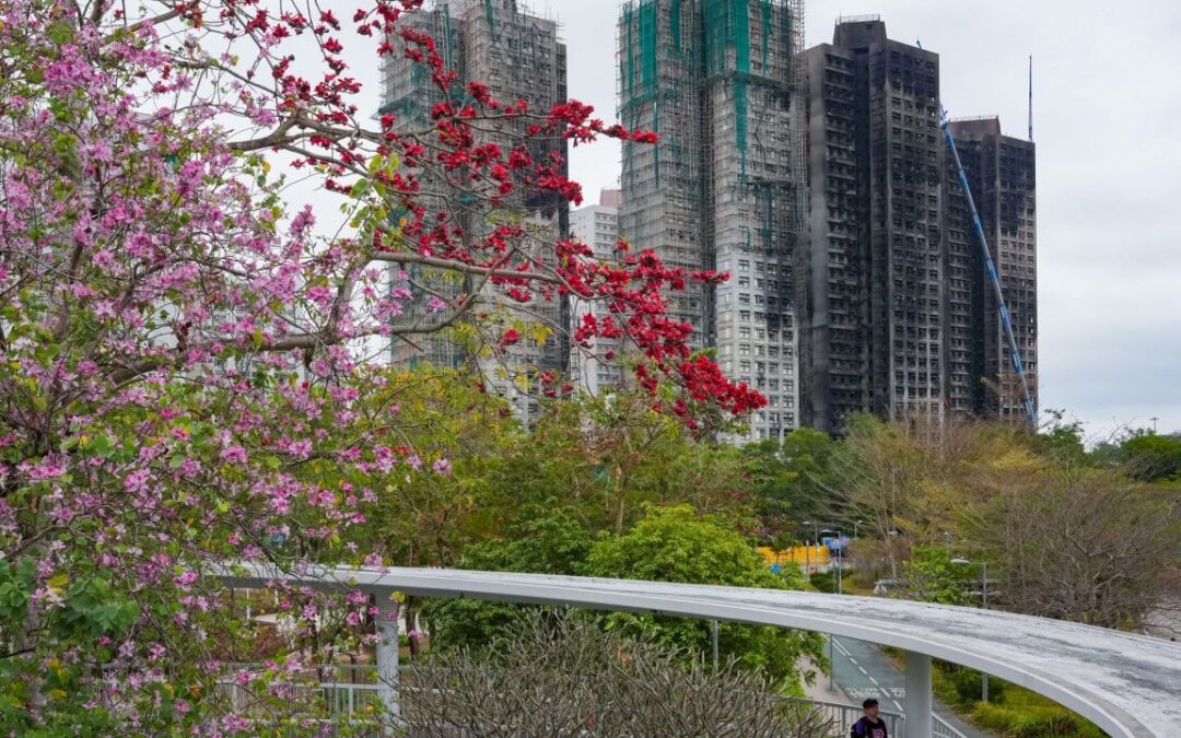 Residents of fire-ravaged Wang Fuk Court can retrieve belongings from late April