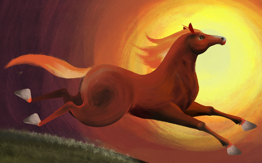 All you need to know about the Year of the Horse