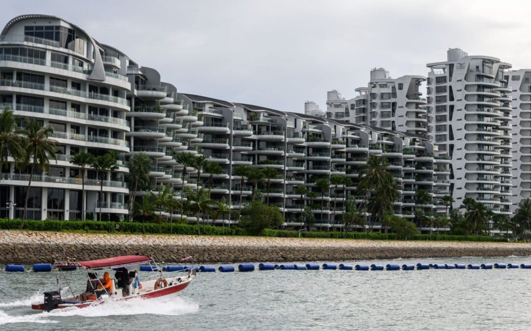 Singapore’s Sentosa halts water fun after crocodile sighting