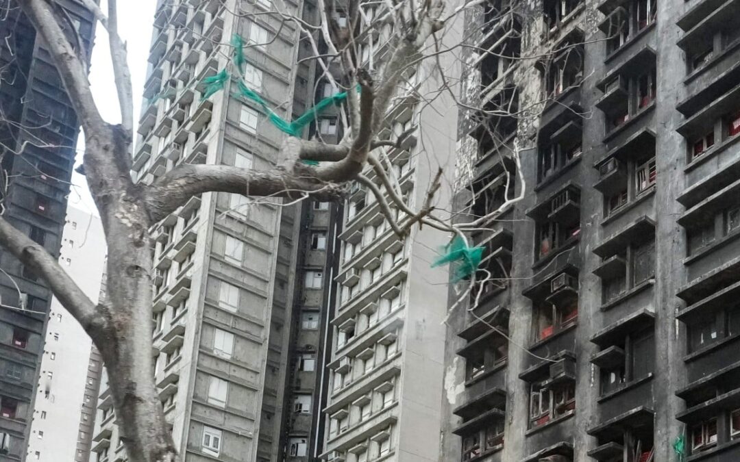 Errors in Hong Kong Tai Po blaze hearing transcript raise transparency concerns