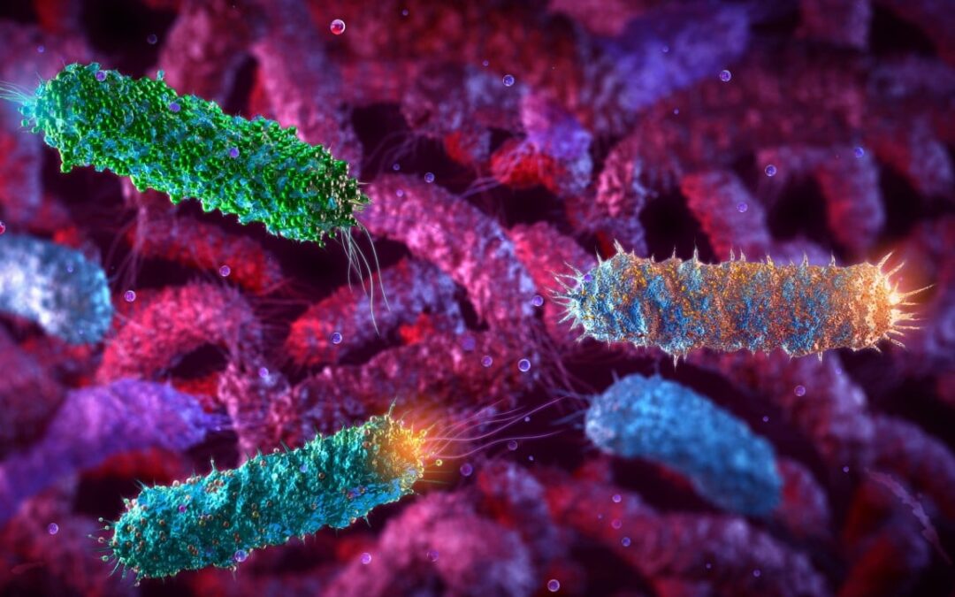 Chinese scientists use E coli to fight breast tumours from within in mice study