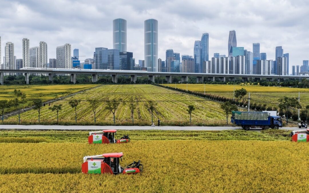 China targets record food-security push in shadow of US-Israeli war with Iran