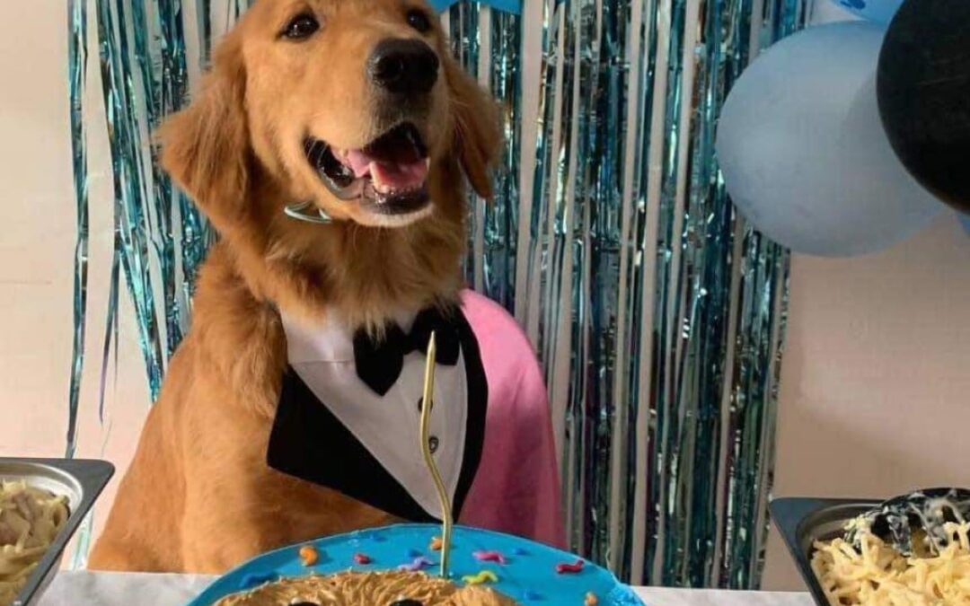 Viral dog killings in pet-loving Philippines spur push for new laws