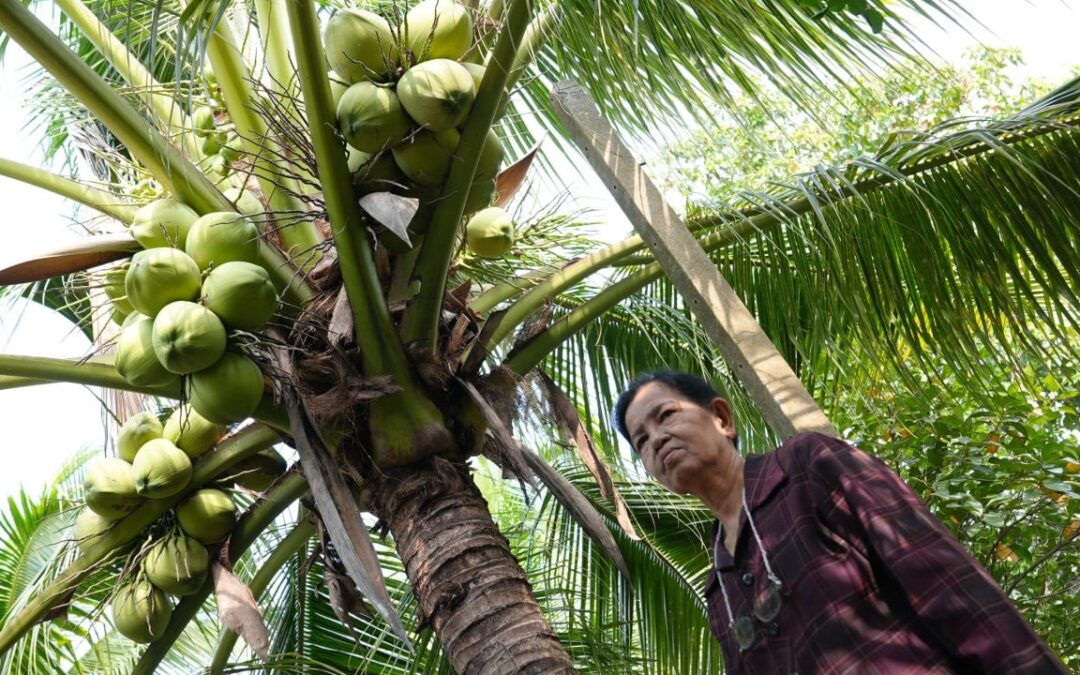 China defence experts vanish online, Thai coconut cartel crisis: 5 weekend reads you missed