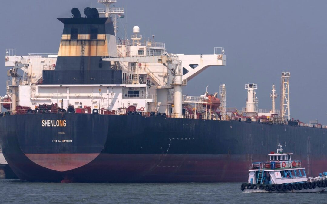 Military escort for tankers in Strait of Hormuz not long-term fix: IMO head