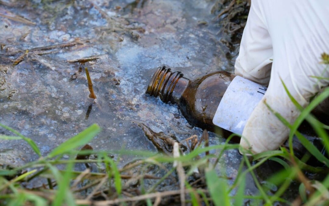 Hong Kong wetland records 40 times more petroleum after oil spill: Greenpeace