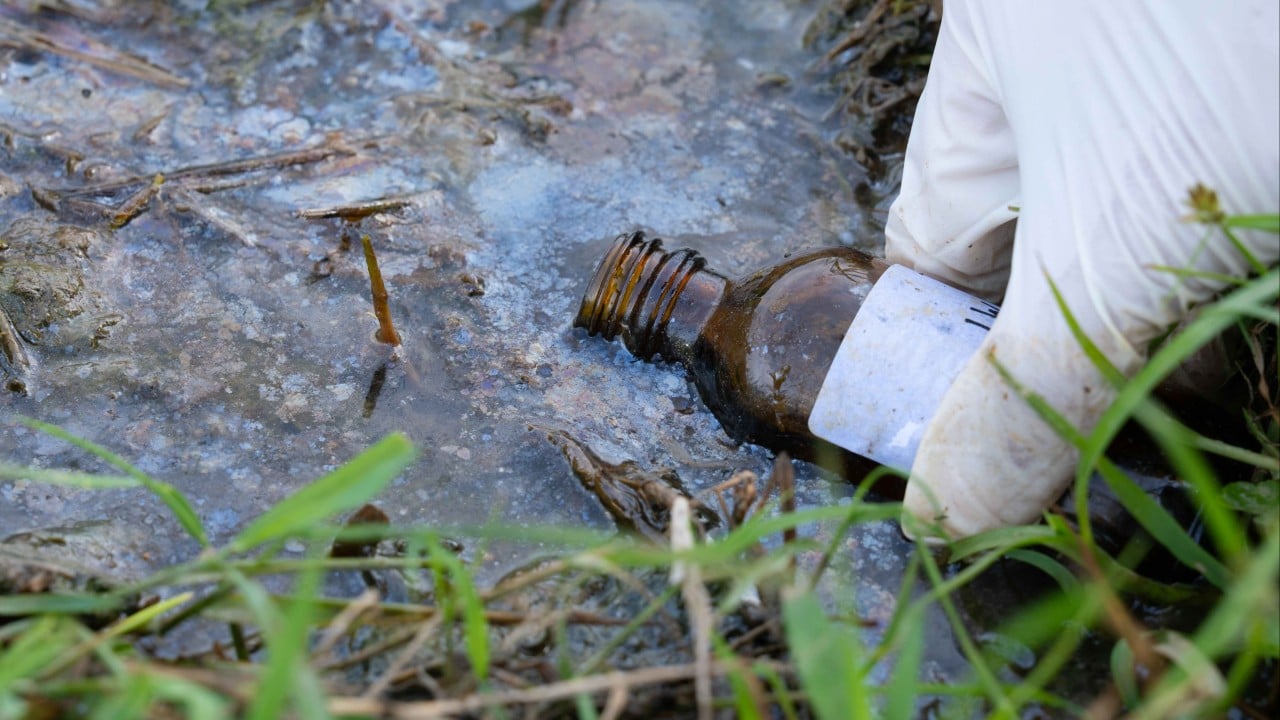 Hong Kong wetland records 40 times more petroleum after oil spill: Greenpeace