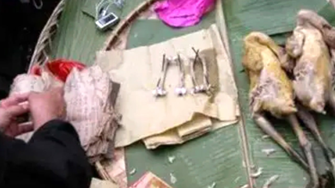 How China ethnic minority groups use chicken bones of small roosters to predict fortunes