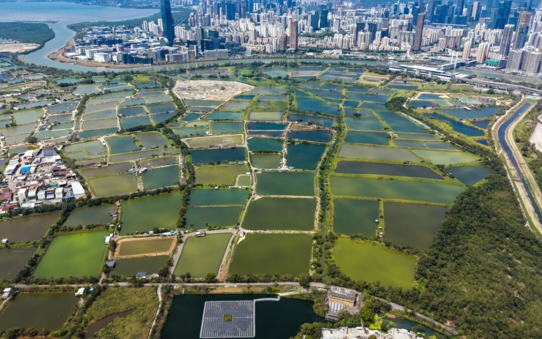 Measures to streamline Northern Metropolis land-use procedures unveiled